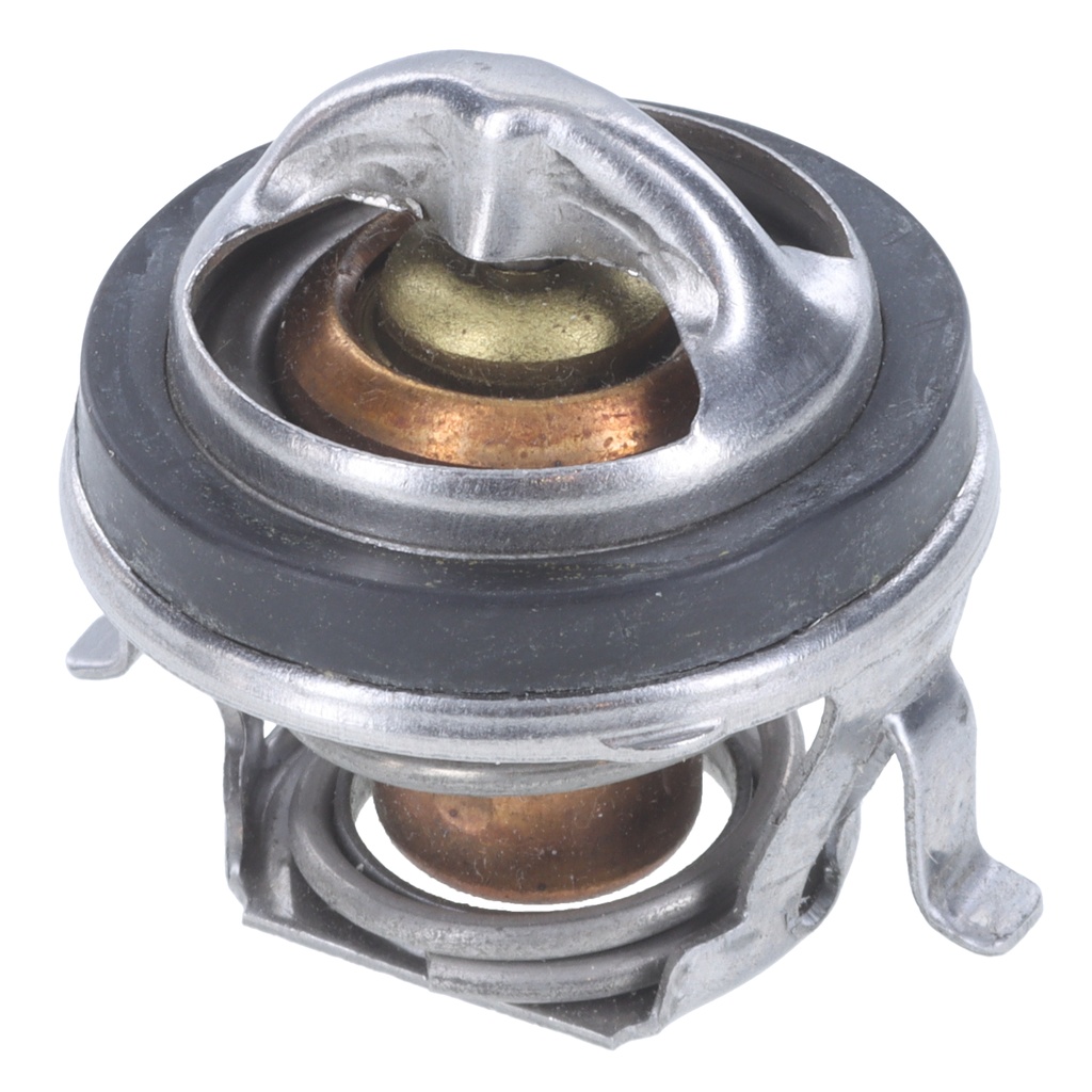 Termostato MotoRad 207-160