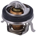 Termostato MotoRad 306-180