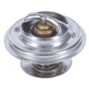 Termostato MotoRad 248-192JV