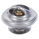 Termostato MotoRad 248-160