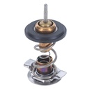 Termostato MotoRad 821-190