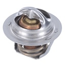 Termostato MotoRad 474-195