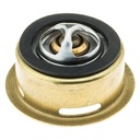 Termostato MotoRad 245-180