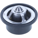 Termostato MotoRad 423-180