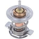 Termostato MotoRad 466-198