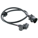 Sensor de Posición de Cigüeñal MotoRad 1KR182