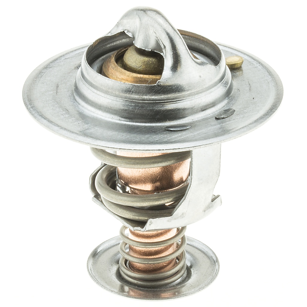 Termostato MotoRad 319-195