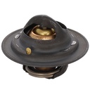 Termostato SpecR MotoRad MRD101