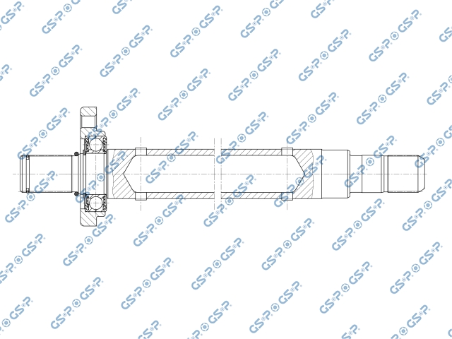 GS-202868 — Flecha Intermedia GSP 202868