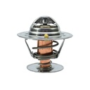 Termostato Spartan 270-195
