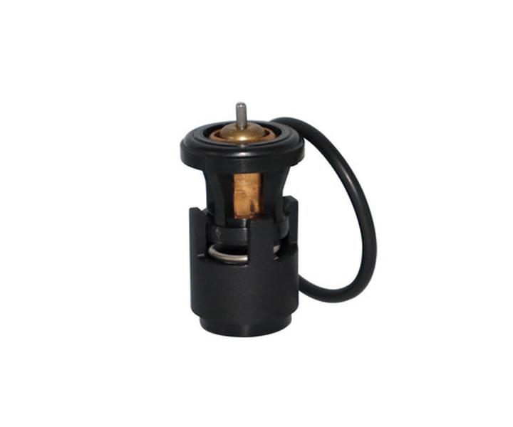 CA-TT1003 — Termostato CAUPLAS TT1003
